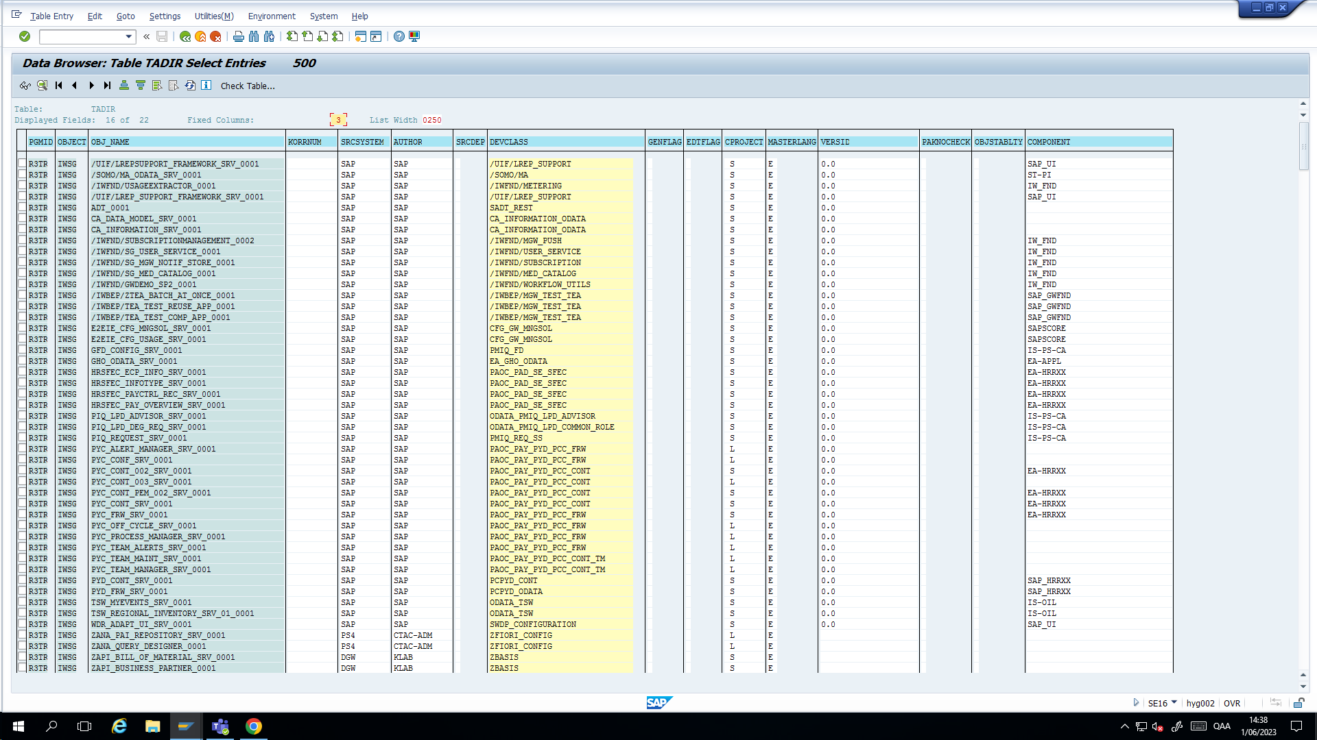 sap-tadir-iwsg.png