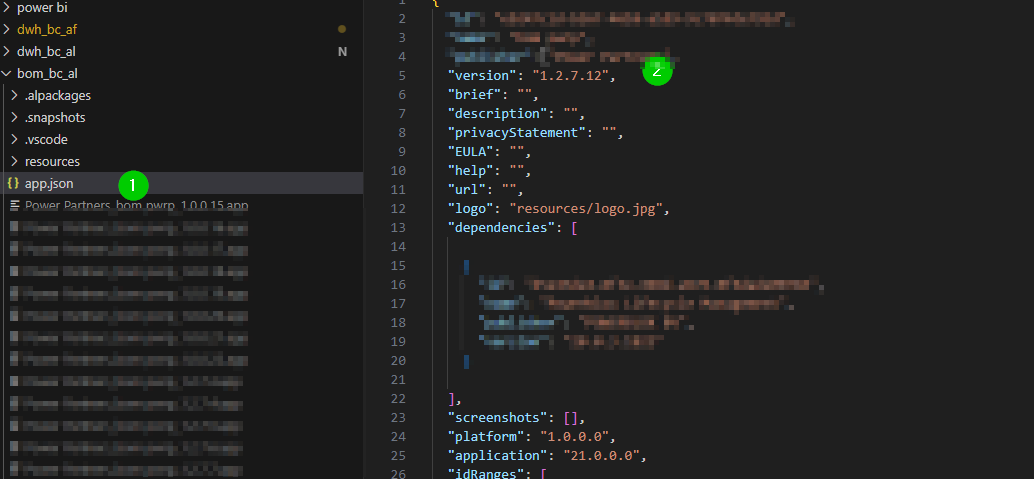 vsc-app.json.png