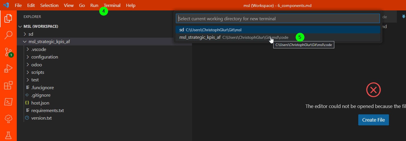 vsc-terminal.png
